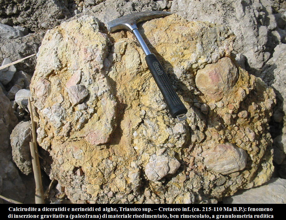 Minerale o fossile